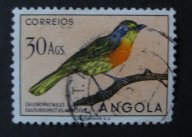 Angola [B35]