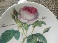 PRODANY ANGLIE KOUZELNA SADA DEKOR RUZE ROSA MUSKOSA REDOUTE ROY KIRKHAM perfektni stav