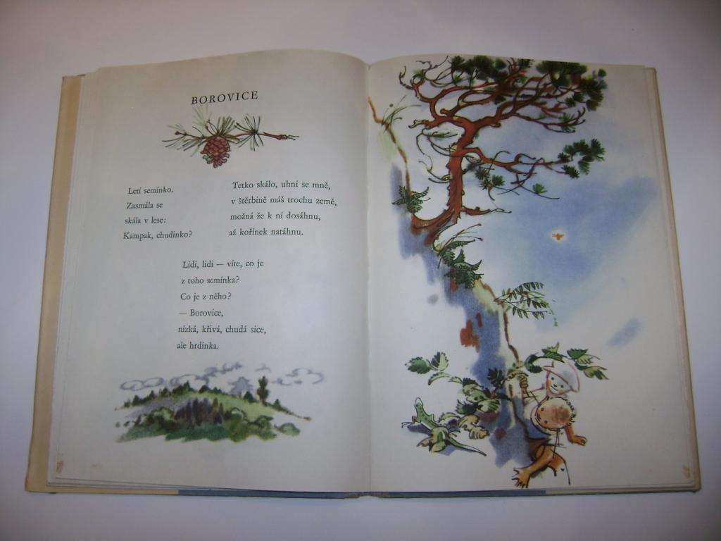 Jan Äarek: SRDCE POTÄÅ ENÃ (1963, il. Adolf ZÃ¡branskÃ½) (A)