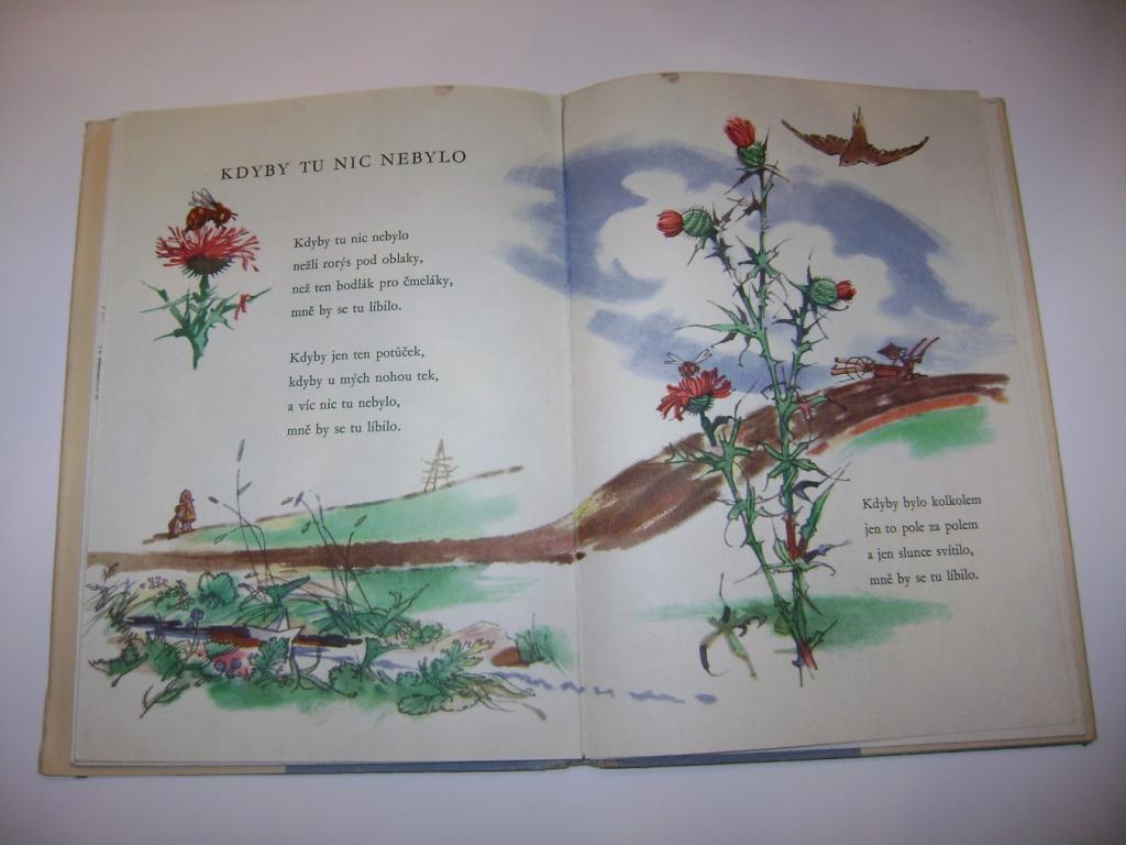 Jan Äarek: SRDCE POTÄÅ ENÃ (1963, il. Adolf ZÃ¡branskÃ½) (A)