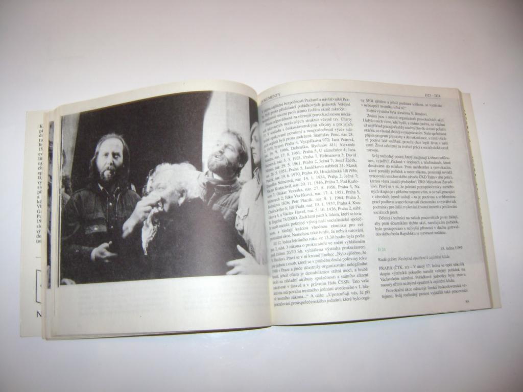 Jan Vladislav/VilÃ©m PreÄan: HorkÃ½ leden 1989 v Äeskoslovensku (1990) (A)