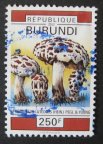 Burundi [B31] 