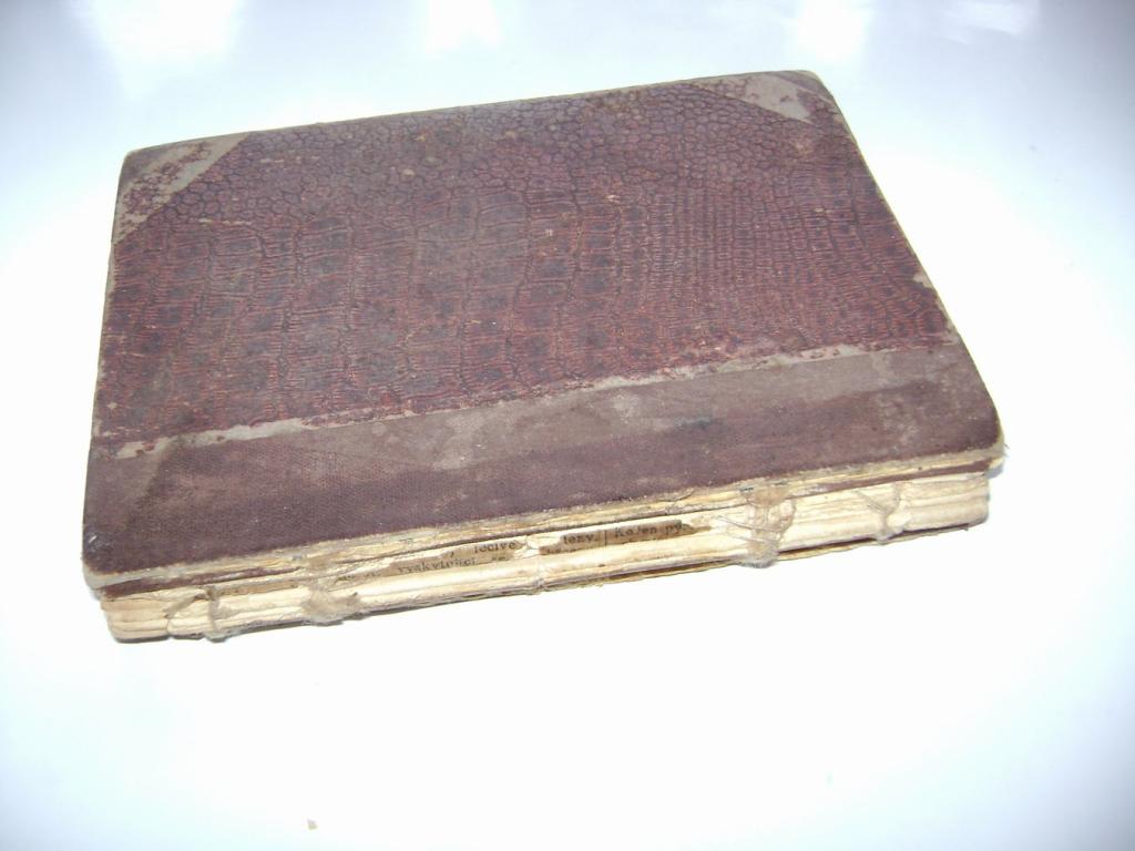 B. ZahradnÃ­k-BrodskÃ½: VÃ­tÄzstvÃ­ lÃ¡sky (1922) (A)