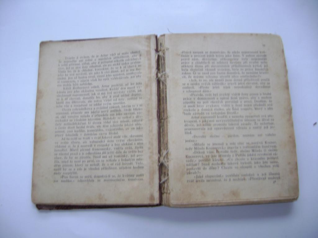 B. ZahradnÃ­k-BrodskÃ½: VÃ­tÄzstvÃ­ lÃ¡sky (1922) (A)