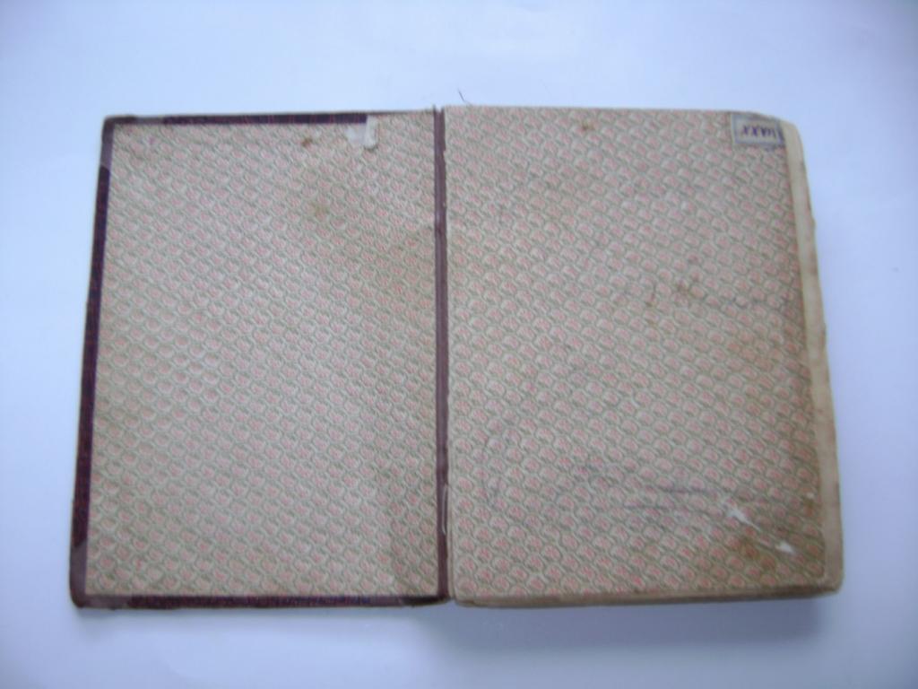 B. ZahradnÃ­k-BrodskÃ½: VÃ­tÄzstvÃ­ lÃ¡sky (1922) (A)