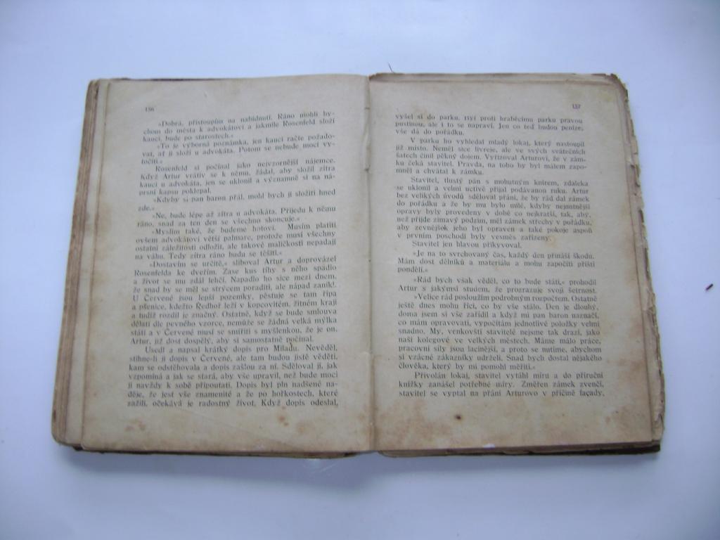 B. ZahradnÃ­k-BrodskÃ½: VÃ­tÄzstvÃ­ lÃ¡sky (1922) (A)