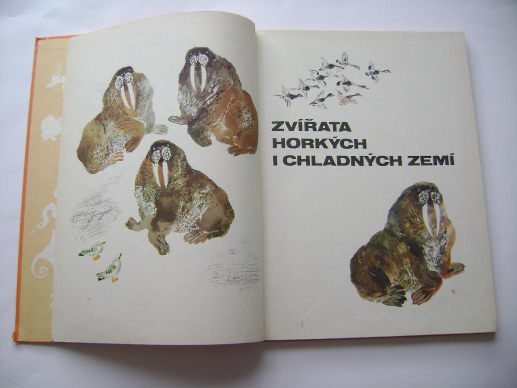 Jevgenij Čarušin: Můj první přírodopis (1980) (A)