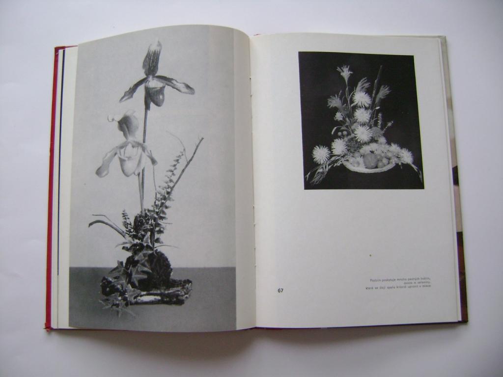 R. Höhn: Květiny pro každou příležitost (1975) (A)
