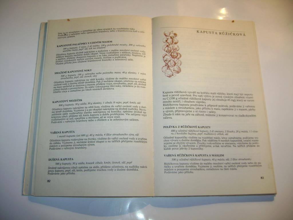  Libuše Vlachová: Zelenina v české kuchyni (1982) (A)