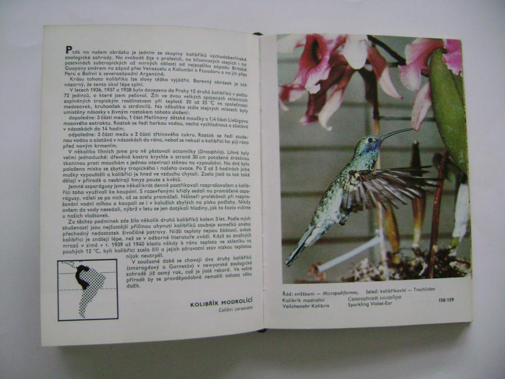 Veger, Šálek: Kapesní atlas cizokrajných ptáků (1976) (A)