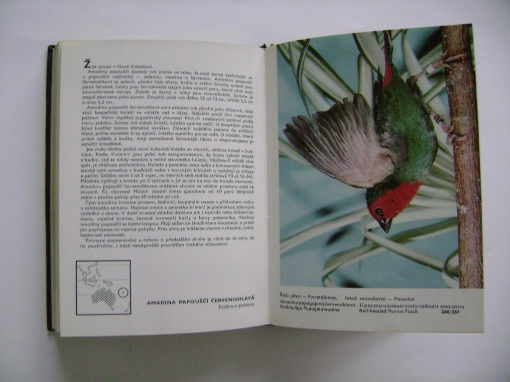 Veger, Šálek: Kapesní atlas cizokrajných ptáků (1976) (A)