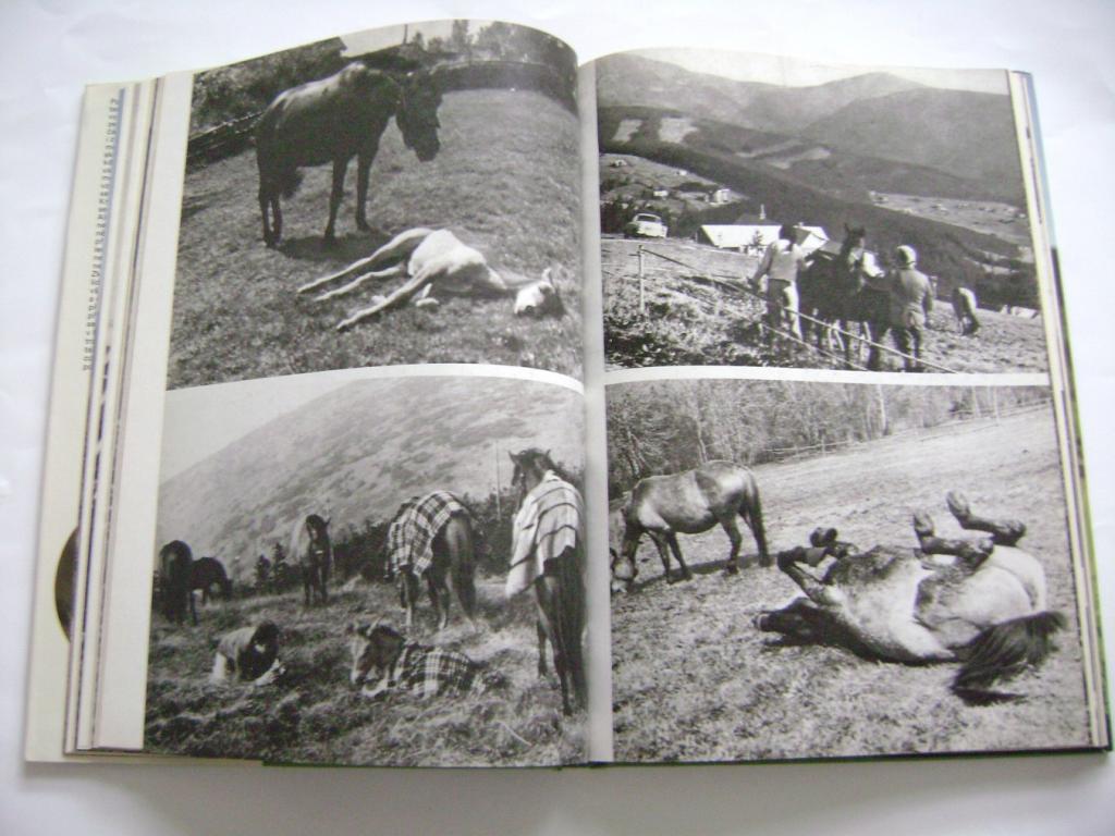 Z. Heřman, J. Holeček: Kůň pro Krakonoše (1984) (A)