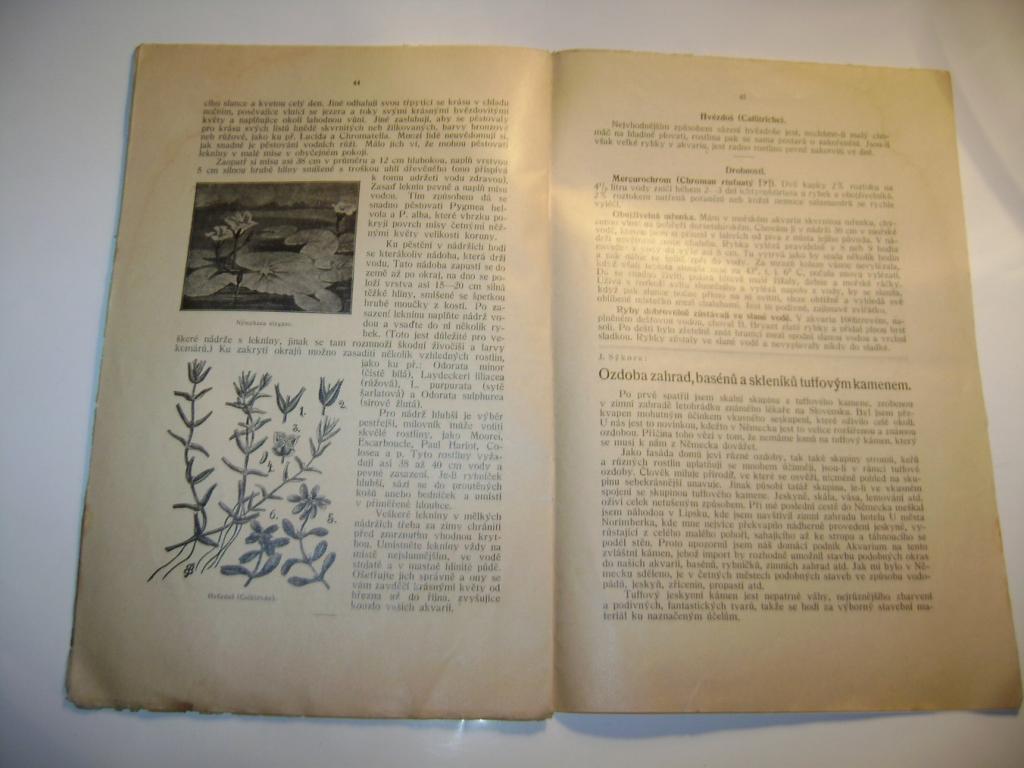Akvarijní přírodopisné listy (září 1928) (A)