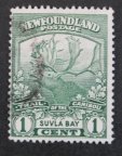 Nový Foundland [G52]
