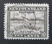 Nový Foundland [G57]